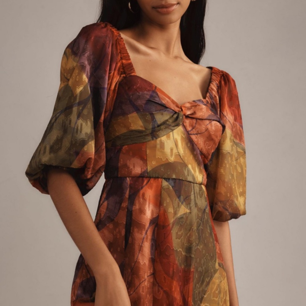 Anthropologie Hutch Printed Twist-Front Puff Sleeve Ruffle-Hem Dress - Picture 4 of 16